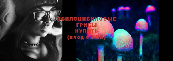скорость Алзамай