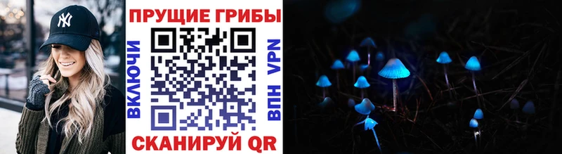 Псилоцибиновые грибы Psilocybe  Жуковка 